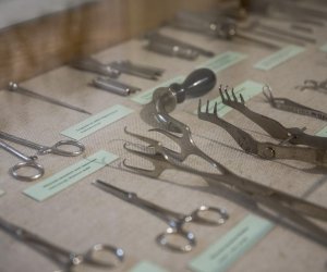 NIECOdziennik muzealny - Weterynaria NIECOdziennik muzealny - Weterynaria