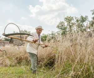 Święto Chleba po raz trzynasty
