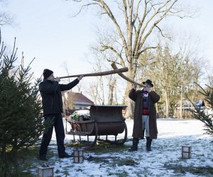 LIGAWKI 2016 - Fotorelacja z konkursu
