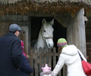 Szopka Bożonarodzeniowa