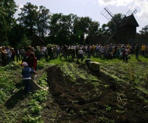 Wykopki w skansenie 2009