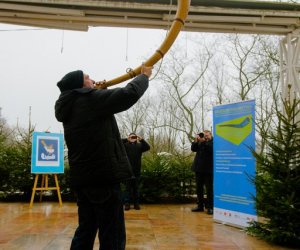 Galeria z 6 grudnia 2014 Galeria z 6 grudnia 2014