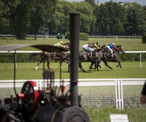 Piknik "Poznaj Zdrową Żywność" - fotorelacja Piknik "Poznaj Zdrową Żywność" - fotorelacja