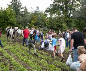 Jesień w polu i zagrodzie - fotorelacja - 15 września 2024 Jesień w polu i zagrodzie - fotorelacja - 15 września 2024