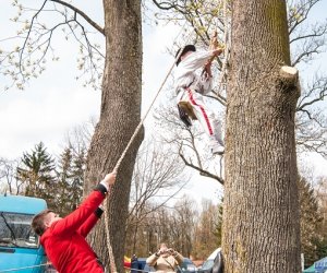 Jarmark św. Wojciecha 2016 Jarmark św. Wojciecha 2016