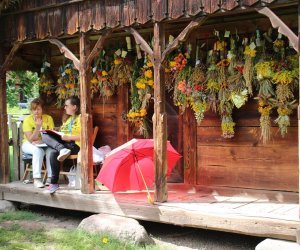 XVI Podlaskie Święto Chleba