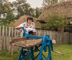 Wykopki w Skansenie 2013