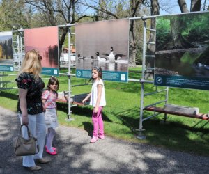 XIV Jarmark Św. Wojciecha i Festyn Leśny XIV Jarmark Św. Wojciecha i Festyn Leśny