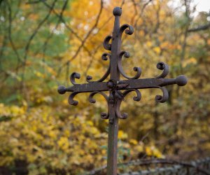 NIECOdziennik muzealny - „A naród płynął całą drogą pod topolami ku cmentarzowi…”