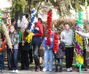 Galeria - Niedziela Palmowa 2010 Galeria - Niedziela Palmowa 2010