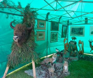 Jarmark Św. Wojciecha i Festyn Leśny 2014 Jarmark Św. Wojciecha i Festyn Leśny 2014