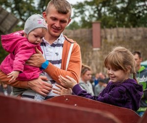 Jesień w polu i zagrodzie