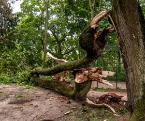 Nawałnica w Ciechanowcu