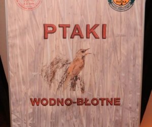 Wystawa czasowa „Ptaki wodno-błotne” Wystawa czasowa „Ptaki wodno-błotne”