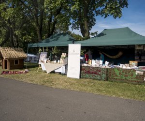 Piknik "Poznaj Zdrową Żywność" - fotorelacja Piknik "Poznaj Zdrową Żywność" - fotorelacja