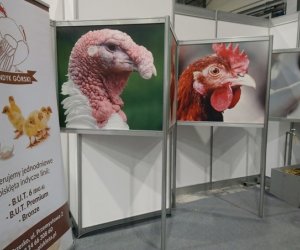 Narodowa Wystawa Rolnicza w Poznaniu Narodowa Wystawa Rolnicza w Poznaniu