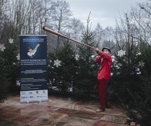 Ligawki 2017 - fotorelacja Ligawki 2017 - fotorelacja