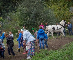 Jesień w Polu i Zagrodzie 2018 - fotorelacja Jesień w Polu i Zagrodzie 2018 - fotorelacja