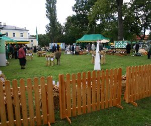 Wojewódzkie Dożynki Ciechanowiec 9 września 2006 roku Wojewódzkie Dożynki Ciechanowiec 9 września 2006 roku