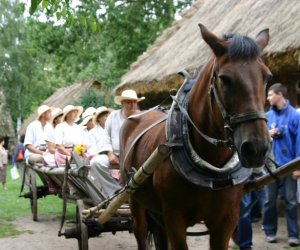VIII PODLASKIE ŚWIĘTO CHLEBA VIII PODLASKIE ŚWIĘTO CHLEBA