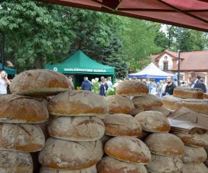 XVII Podlaskie Święto Chleba - fotorelacja XVII Podlaskie Święto Chleba - fotorelacja