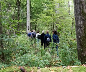 Konferencja Naukowo-Szkoleniowa III PARAZYTOZY ZWIERZĄT - fotorelacja Konferencja Naukowo-Szkoleniowa III PARAZYTOZY ZWIERZĄT - fotorelacja