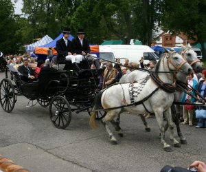 VIII PODLASKIE ŚWIĘTO CHLEBA VIII PODLASKIE ŚWIĘTO CHLEBA