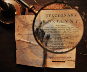 NIECOdziennik muzealny - Skarby lasów, łąk, pól NIECOdziennik muzealny - Skarby lasów, łąk, pól