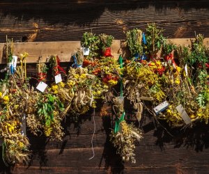 XV Podlaskie Święta Chleba w Muzeum Rolnictwa im. ks. Krzysztofa Kluka w Ciechanowcu XV Podlaskie Święta Chleba w Muzeum Rolnictwa im. ks. Krzysztofa Kluka w Ciechanowcu