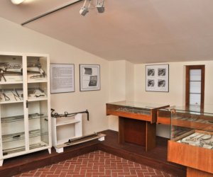 Odnowiona ekspozycja Muzeum Weterynarii Odnowiona ekspozycja Muzeum Weterynarii