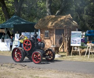 Piknik "Poznaj Zdrową Żywność" - fotorelacja Piknik "Poznaj Zdrową Żywność" - fotorelacja