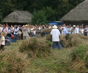 VII PODLASKIE ŚWIĘTO CHLEBA