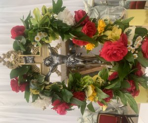 NIECOdziennik Muzealny - Żywa tradycja