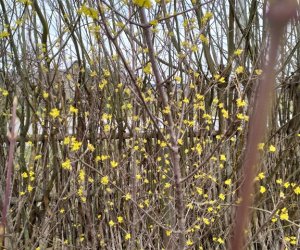 Codziennik Muzealny - Wiosna już zawitała Codziennik Muzealny - Wiosna już zawitała