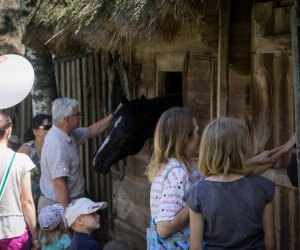 IX Zajazd Wysokomazowiecki - fotorelacja IX Zajazd Wysokomazowiecki - fotorelacja