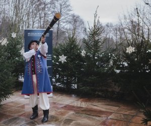 Ligawki 2017 - fotorelacja Ligawki 2017 - fotorelacja