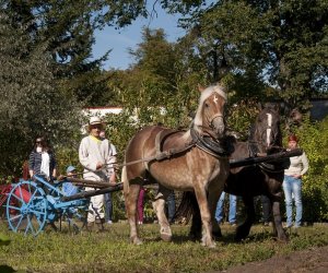 JESIEŃ W POLU I ZAGRODZIE w ramach Europejskich Dni Dziedzictwa 18 września 2016 r. JESIEŃ W POLU I ZAGRODZIE w ramach Europejskich Dni Dziedzictwa 18 września 2016 r.