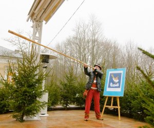 Galeria z 6 grudnia 2014