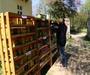 Jarmark Świętego Wojciecha w Ciechanowcu Jarmark Świętego Wojciecha w Ciechanowcu