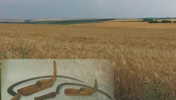 "Żniwa po bułgarsku"