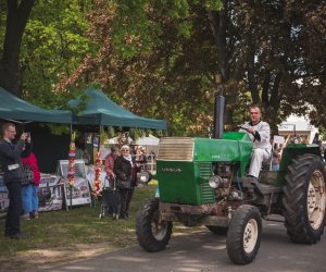 Piknik "Poznaj dobrą żywność" 2019 - fotorelacja