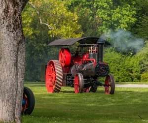 Noc Muzeów Noc Muzeów