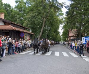 XVI Podlaskie Święto Chleba