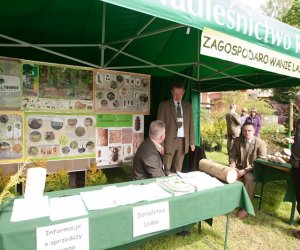 Jarmark Św. Wojciecha i Festyn Leśny 2014 Jarmark Św. Wojciecha i Festyn Leśny 2014