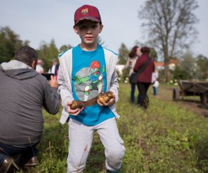 Impreza plenerowa - Jesień w Polu i Zagrodzie