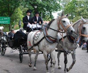 VIII PODLASKIE ŚWIĘTO CHLEBA VIII PODLASKIE ŚWIĘTO CHLEBA