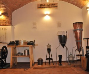 DZIAŁ TRADYCJI ZIELARSKICH DZIAŁ TRADYCJI ZIELARSKICH