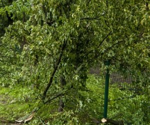 Nawałnica w ciechanowieckim muzeum Nawałnica w ciechanowieckim muzeum