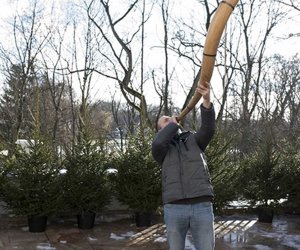 LIGAWKI 2016 - Fotorelacja z konkursu