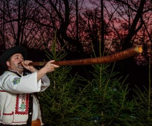 Galeria z 5 grudnia 2015